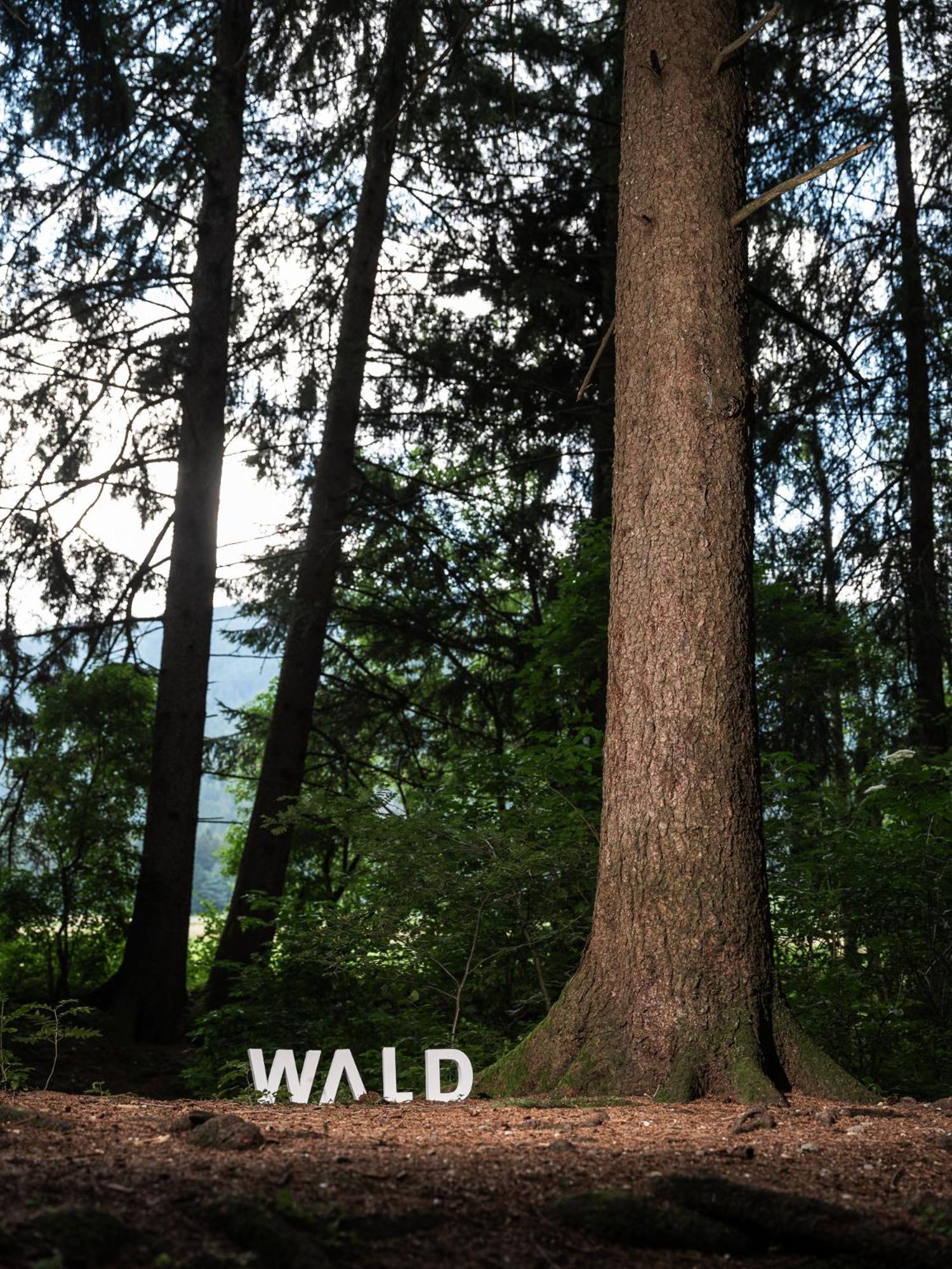 Frida Am Wald Ξενοδοχείο Rasùn di Sotto Εξωτερικό φωτογραφία