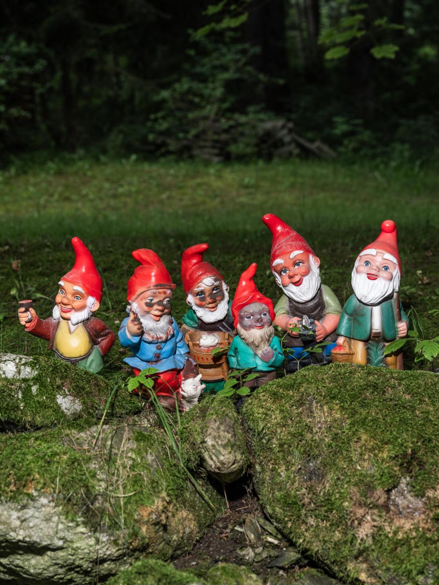 Frida Am Wald Ξενοδοχείο Rasùn di Sotto Εξωτερικό φωτογραφία